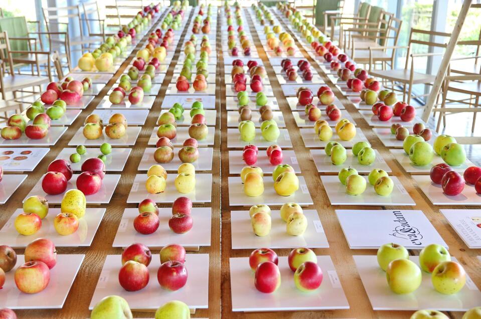 Obst im Ausstellungsraum_Oststeiermark | © eva & adam