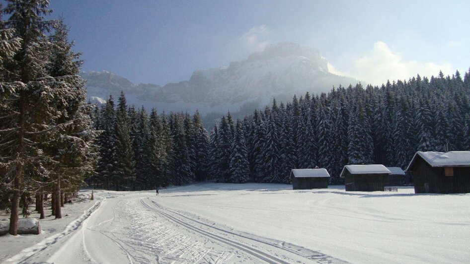 Langlaufloipe, Blaa Alm, Altaussee | © Georg Petritsch