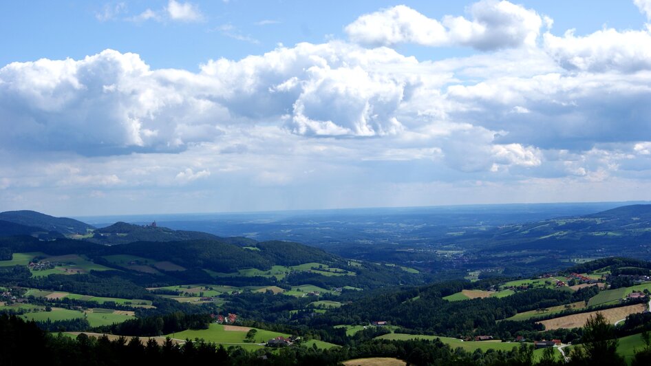 Blick vom Schloffereck_Pöllauer Tal_Oststeiermark | © Michael Fischer