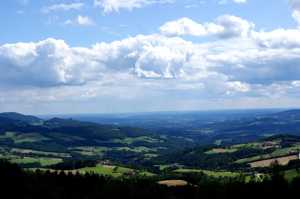 Blick vom Schloffereck_Pöllauer Tal_Oststeiermark | © Michael Fischer