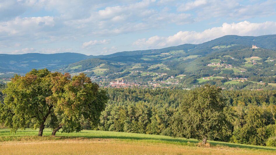 Naturpark PT_Pöllau_Oststeiermark | © Helmut Schweighofer