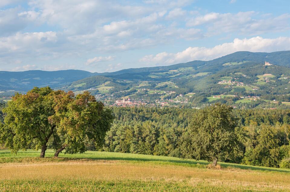 Naturpark PT_Pöllau_Oststeiermark | © Helmut Schweighofer