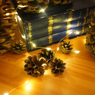 Advent | © Eli Pluma unsplash