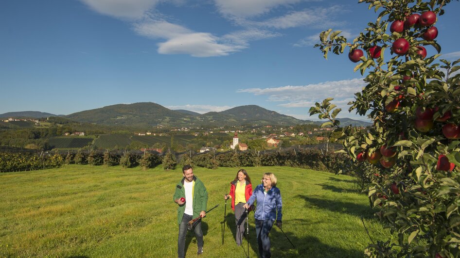 Apfelstrasse_Wandern_Oststeiermark | © Tourismusverband Oststeiermark