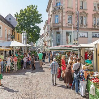 Leoben Bauernmarkt