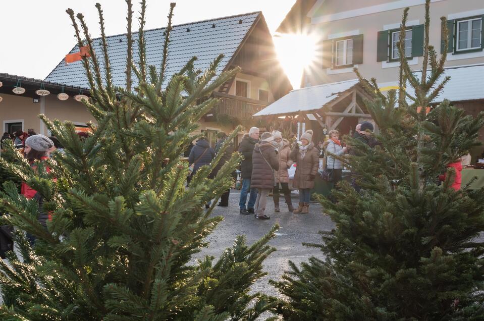 Christbaum_Moarhofhechtl_Oststeiermark | © Tourismusverband Oststeiermark Christbaum_Moarhofhechtl_Oststeiermark | © Tourismusverband Oststeiermark