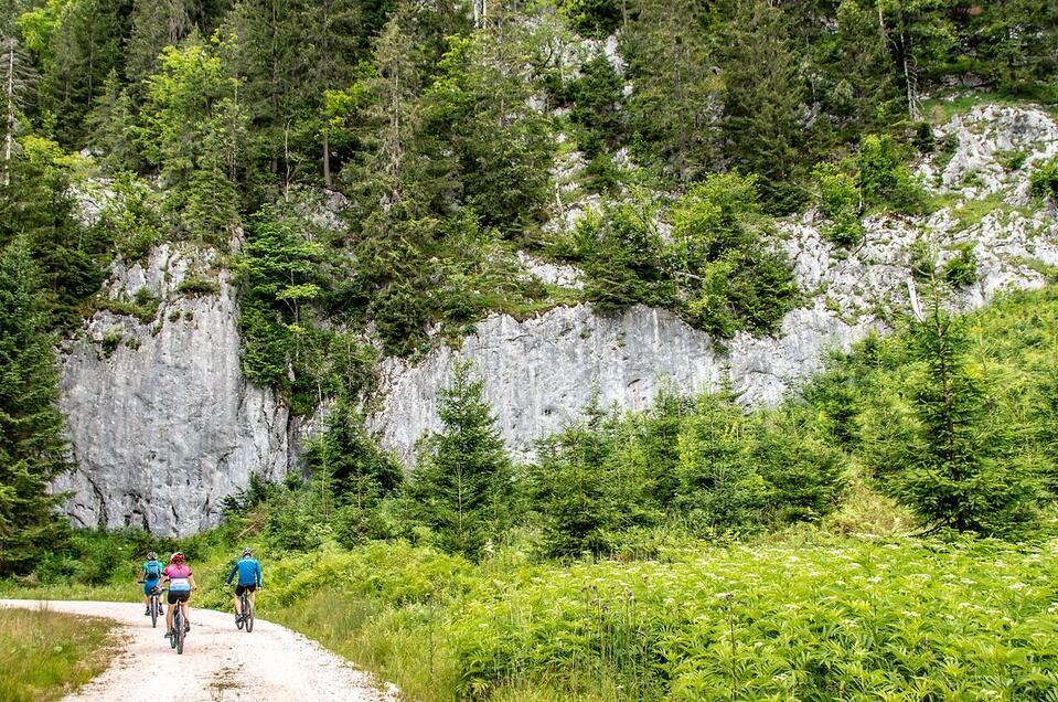Mountainbiken
