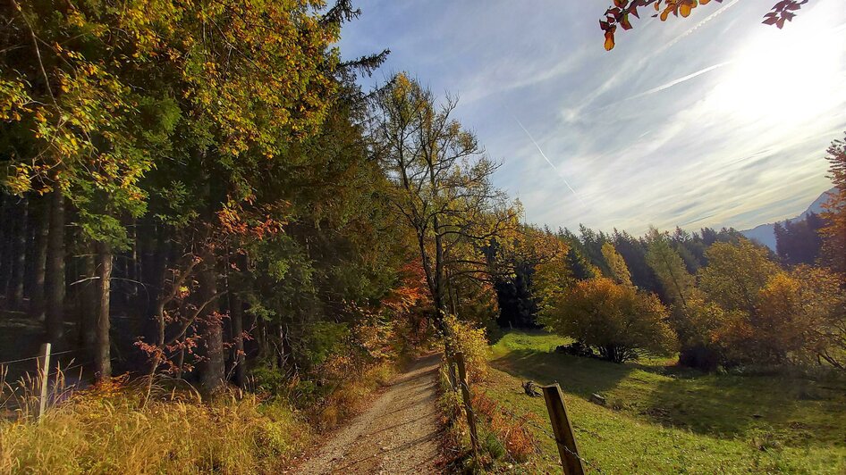 Wanderweg_Herbst_Oststeiermark_Foto Pollhammer
