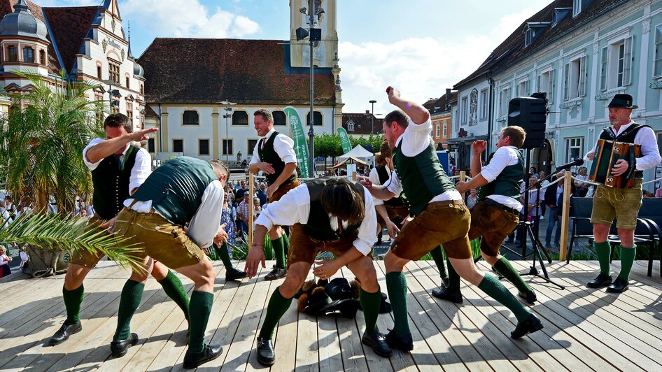 Erntedank und Winzerfest Hartberg 2023 (3) | © Oststeiermark Tourismus