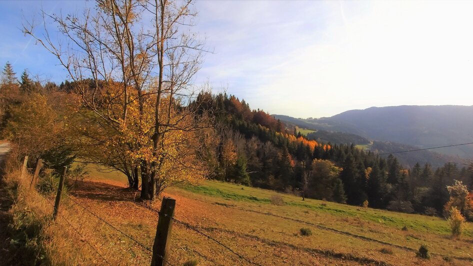 Herbst_Aussicht_Foto Pollhammer | © Tourismusverband Oststeiermark