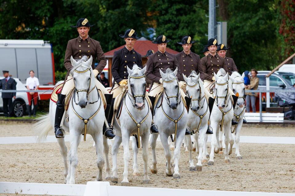 Fest der Lipizzaner in der Pferdearena | © Harry Schiffer