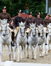 Fest der Lipizzaner in der Pferdearena | © Harry Schiffer | HARRY SCHIFFER PHOTODESIGN | © Harry Schiffer