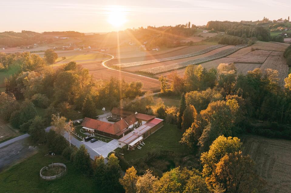 BioWeinHof Monschein | © Familie Monschein