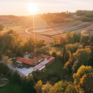 BioWeinHof Monschein | © Familie Monschein