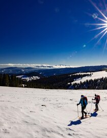 © Harry Schiffer Photodesign | HARRY SCHIFFER PHOTODESIGN