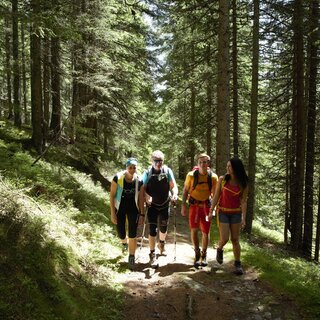 Wandern-Murtal-Steiermark | © Herbert Raffalt