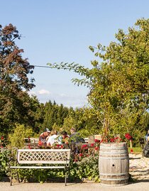 Gut Moser | © Gut Moser | Gut Moser | © Gut Moser