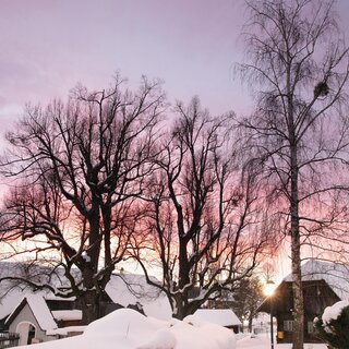 Winter | © Lupi Spuma