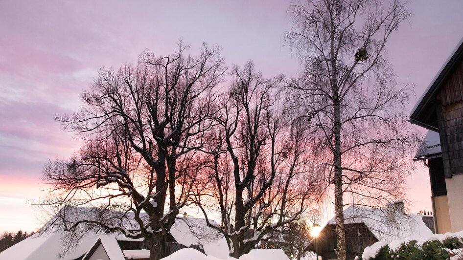 Winter | © Lupi Spuma