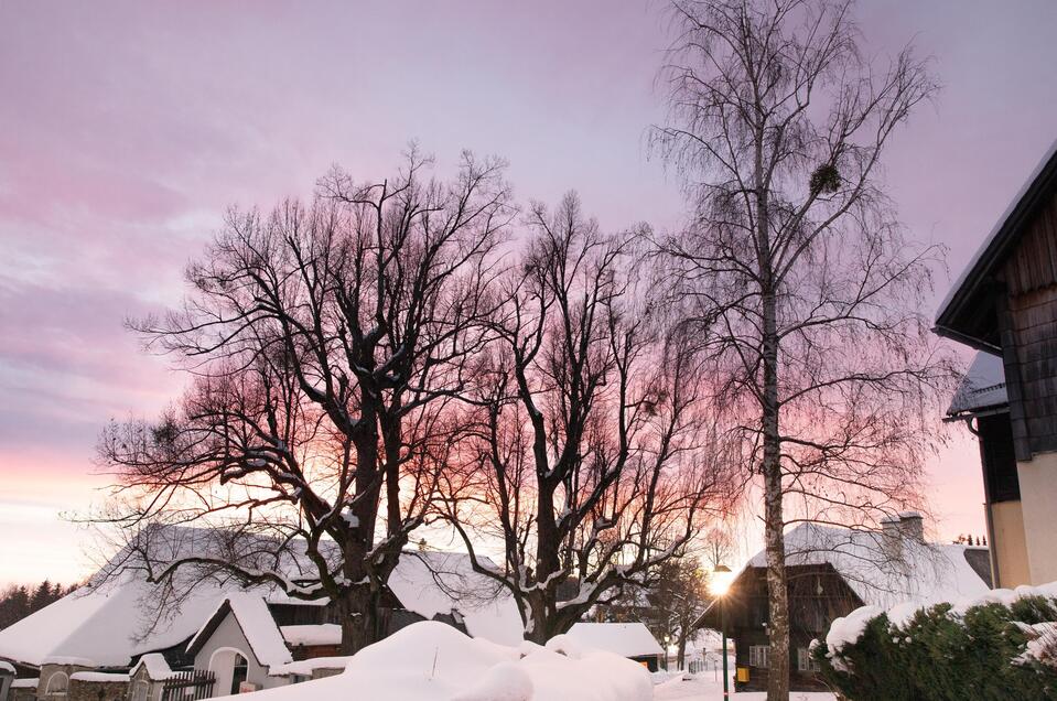 Winter | © Lupi Spuma