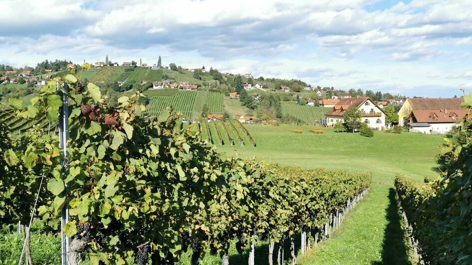 Junkerwanderung Trapl | © CDM Claudia Dunst
