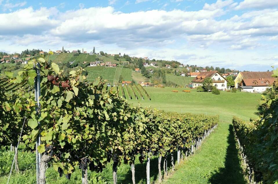 Junkerwanderung Trapl | © CDM Claudia Dunst