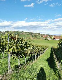 Junkerwanderung Trapl | © CDM Claudia Dunst | CDM Claudia Dunst | © CDM Claudia Dunst