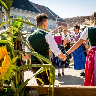 Tanz | © tv suedsteiermark_stephan friesinge