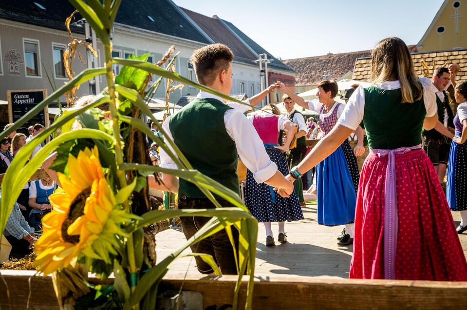 Tanz | © tv suedsteiermark_stephan friesinge