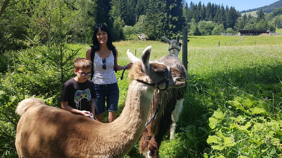 Lamawanderung mit Kind | © Lama-Touren auf der Alm-Orso_Gigleitner