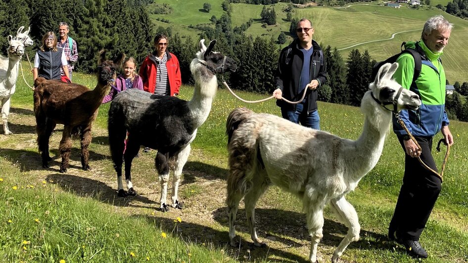 Lamawanderung in der Gruppe | © Lamatouren-Gigleitner
