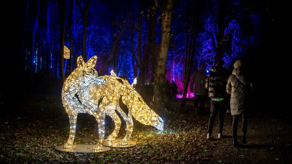 Fuchs im Lichterpark | © Ivents-Kulturargentur-Erwin Scheriau