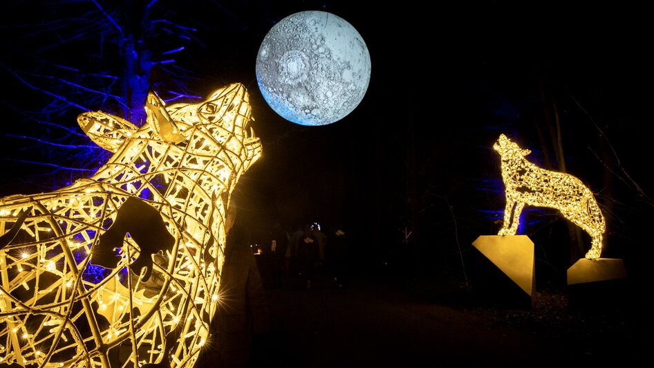 Wolf und Mond | © Ivents-Kulturagentur-Erwin Scheriau