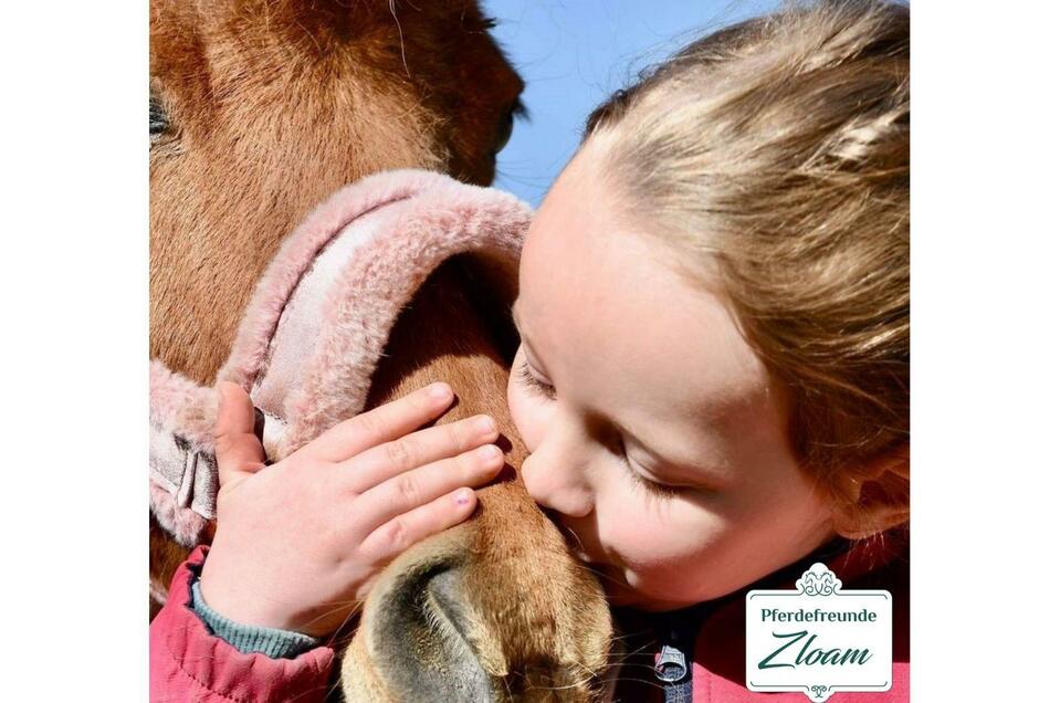 Pferdefreunde Zloam, Mini Pony Camp | © Narzissendorf Zloam
