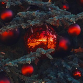 Weihnachtsbaum | © Spencer DeMera