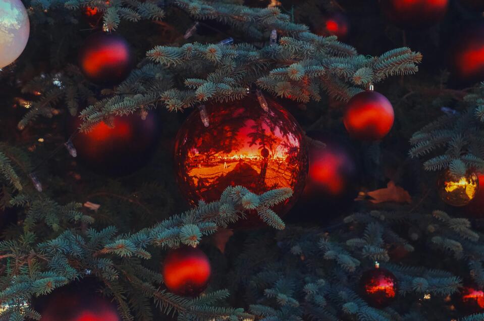 Weihnachtsbaum | © Spencer DeMera