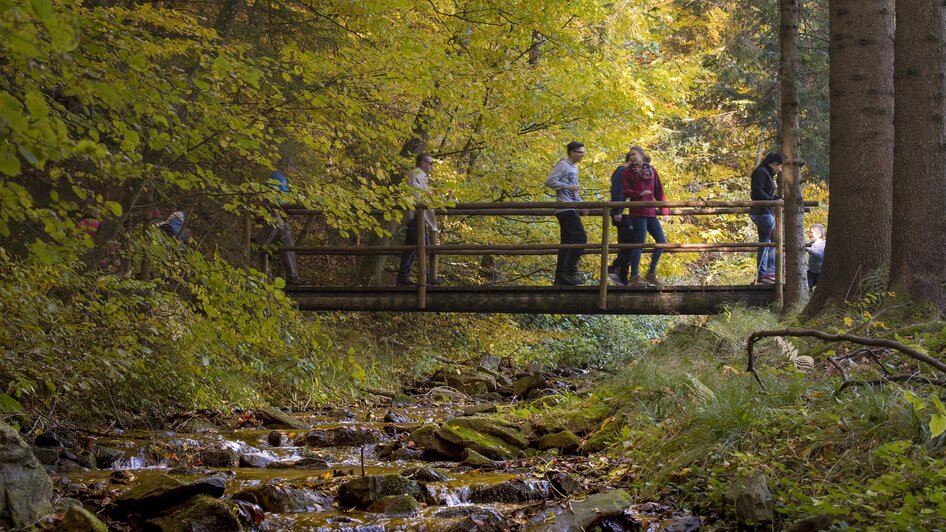 Wandern Herbst_NUP Pöllauer Tal_Oststeiermark | © Rene Strasser