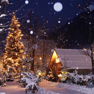 Weihnachtsbaum_Marktplatz_Oststeiermark | © Tourismusverband Oststeiermark