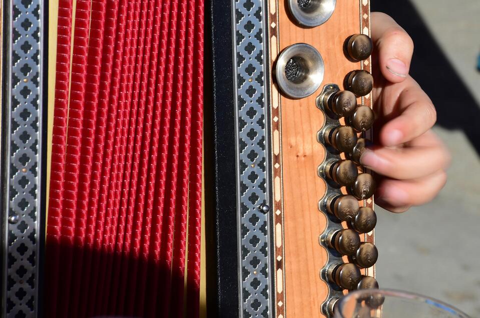 Steirische Harmonika | © AdobeStock - Wolfgang Spitzbart