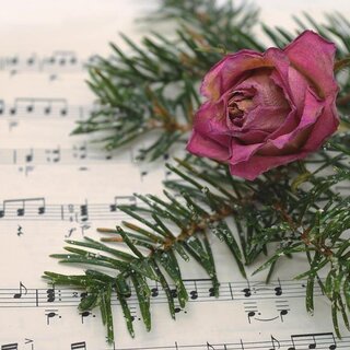 Advent concert_Eastern Styria | © Pixabay