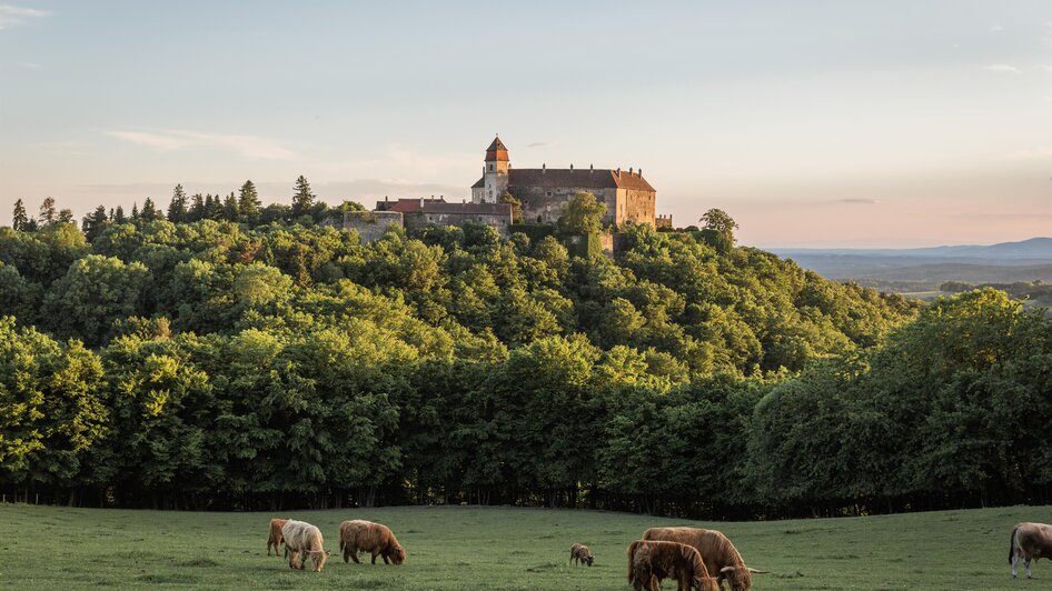 Burg Bernstein | © Burg Bernstein | Matthias Kronfuss