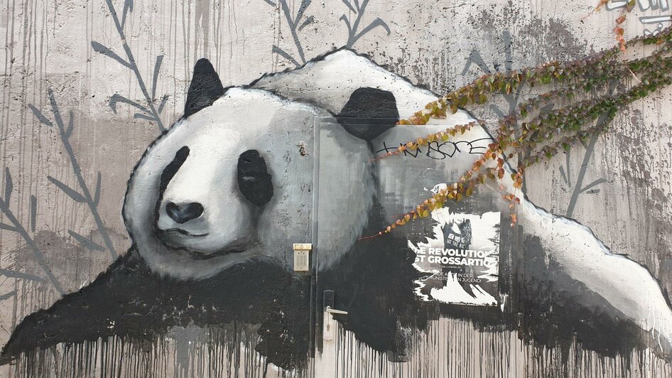 Graffiti im Grazer Griesviertel | © Gudrun Krinzinger - Reisebloggerin