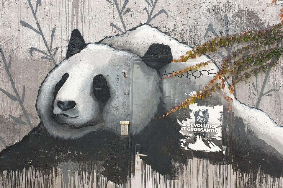 Graffiti im Grazer Griesviertel | © Gudrun Krinzinger - Reisebloggerin