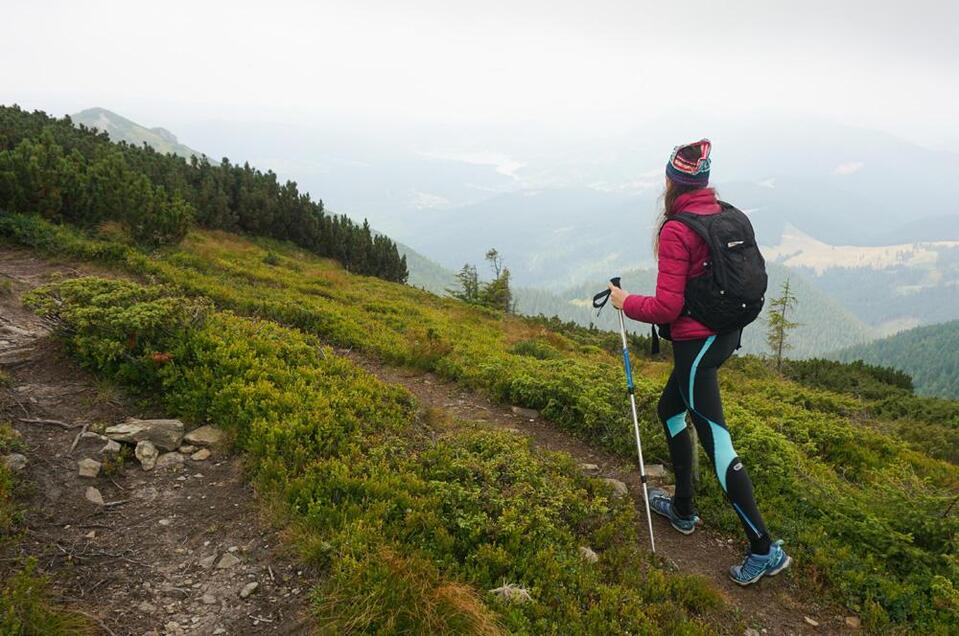 Bewegungsrevolution Nordicwalking | ©  freepik.com