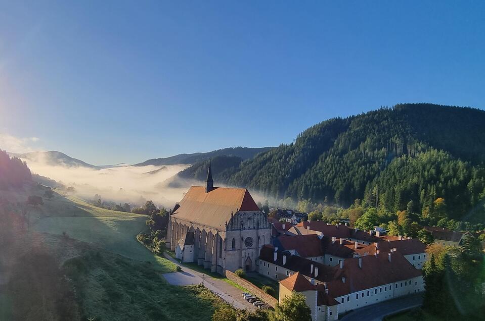 Münster im Herbst | © Andreas Steininger