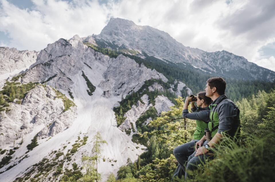 Webinar: Forschung im Nationalpark Gesäuse - Impression #1