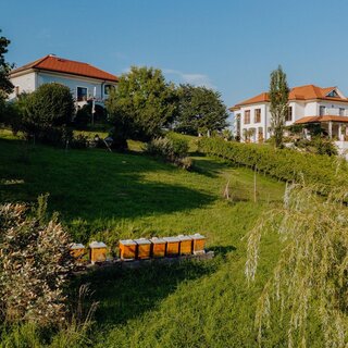 Weingut Hirschmugl | © Weingut Hirschmugl