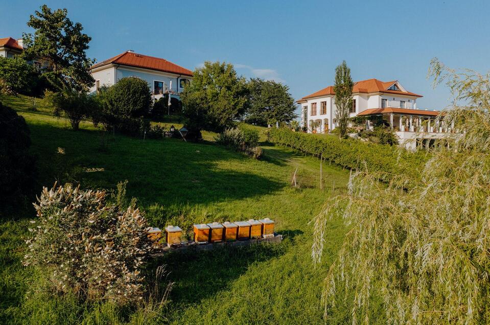 Weingut Hirschmugl | © Weingut Hirschmugl