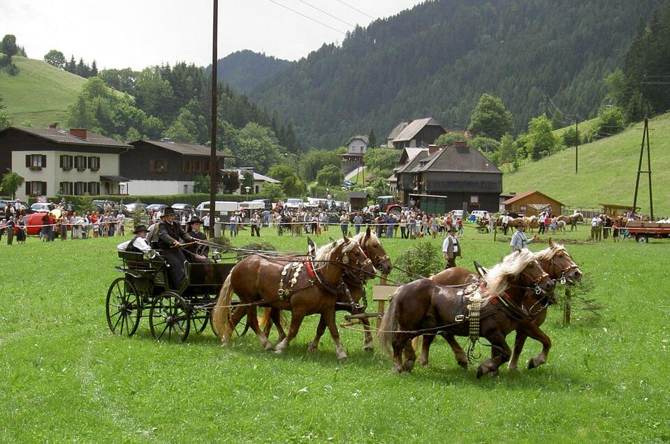 Zugpferdetreffen_Gespann_Oststeiermark | © Marktgemeinde Breitenau am Hochlantsch