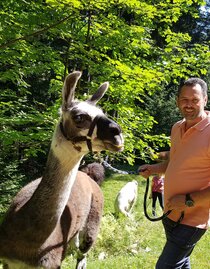 Llama hike  | © Lama-Touren auf der Alm-Orso_Gigleitner | © Lama-Touren auf der Alm-Orso_Gigleitner